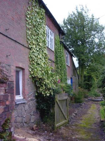 Looking along the side elevation from the track from Westfield Lane to The Ridgeway into the farmhouse garden. July 2007