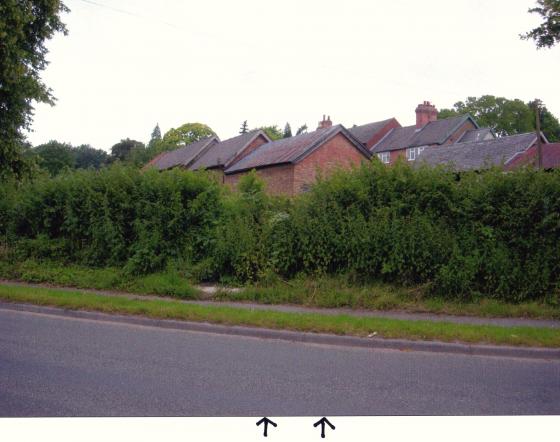 Site of Pond 42 just the other side of the hedge on Westfield Lane. July 2007