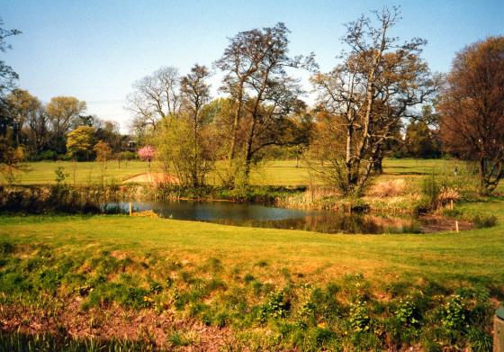 Pond 3 April 2002