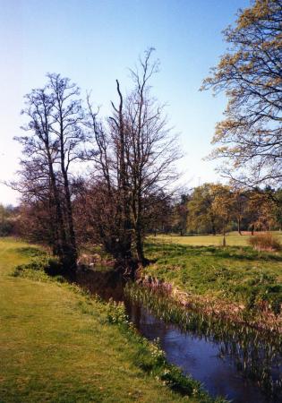 Rothley Brook running through fairway 18. April 2002