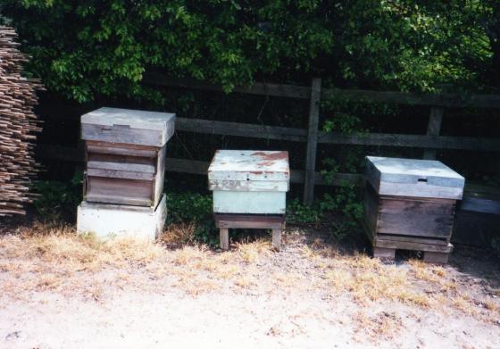 Active beehives on approach to Brooklea Swamp Field Site 131. May 2002