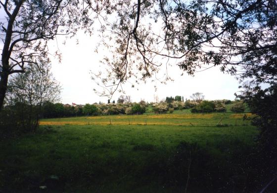 View from the marsh towards Mountsorrel. May 2002