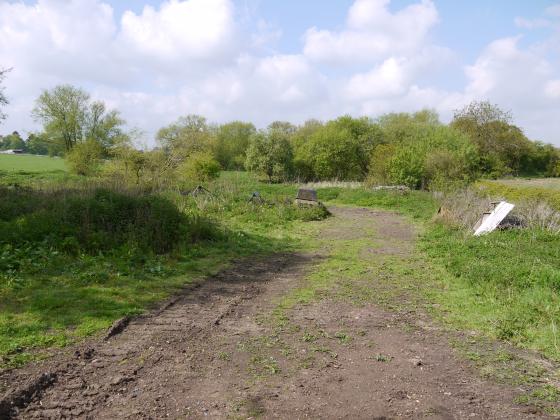 Walking into Farnham Bridge Marsh. Brooklea Nursery Fields Site 130 to the right. May 2013