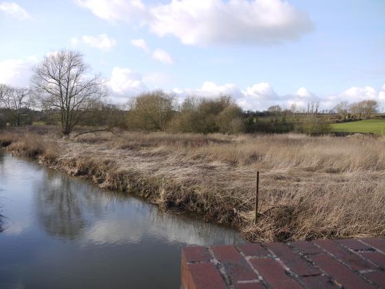 Farnham Bridge Marsh to the right of Rothley Brook from Farnham Bridge. February 2015