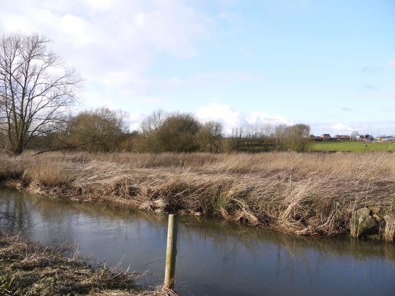 Farnham Bridge Marsh from Site 189 Homefield 1 over Rothley Brook. February 2015