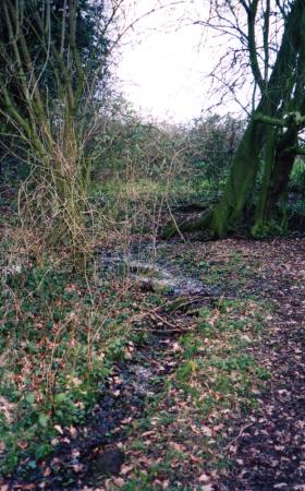 Site 134 Remnants of the Ornamental Pond Gardens of The Temple. Water still running. The Ridings to the left. March 2004