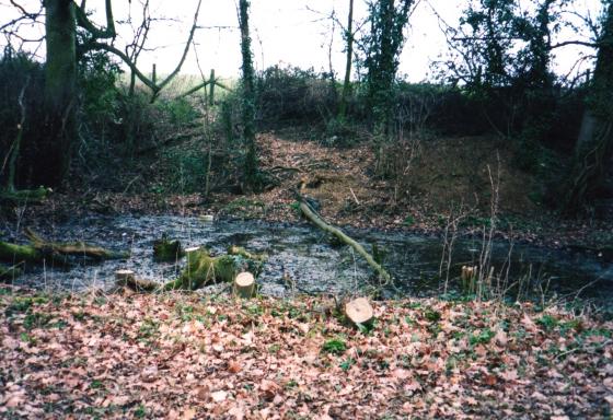 Site 134 Pond 8 Merlin's Field Pond had a tidy up by the Leicestershire and Rutland Wildlife Trust. March 2004