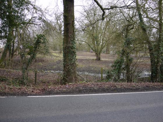 Ornamental Pond Gardens once part of the Rothley Temple landscaped gardens. February 2015