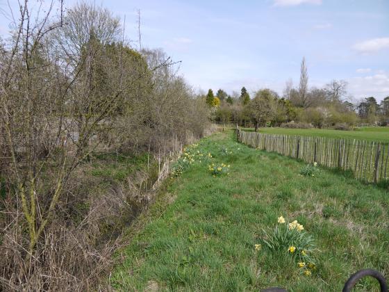 The channel on the left close to Hallfields Lane. April 2013