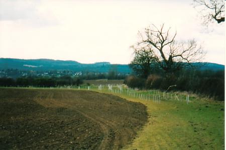 The two photgraphs above show the planting in Thurcaston parish just over the current and ancient Rothley parish boundary.