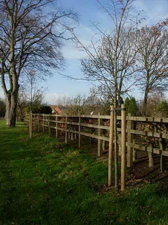 Looking to Rothley Brook bridge.