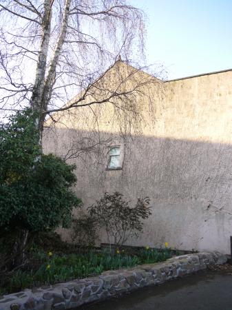 Remember the ivy on the house wall above? Someone very kindly stripped it off in January 2012 and left it piled up with no intention of moving it. Another grot spot created with no consideration to the hard work that had been carried out to create the garden.