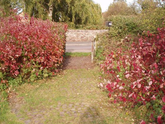 The entrance from Anthony Street. Vegetation previously cut back and left in a heap to the right. Summer 2011