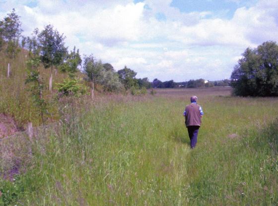 The footpath at the back of the LPC site emerges into Site 253 Rothley Lodge Wildlife Site. June 2008