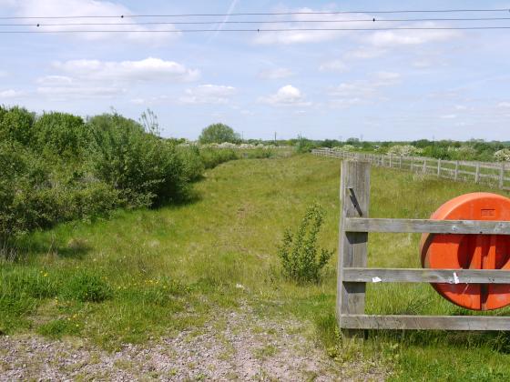 Looking from Site 304 LPC to Mountsorrel. Water is to the left behind the vegetation. June 2013