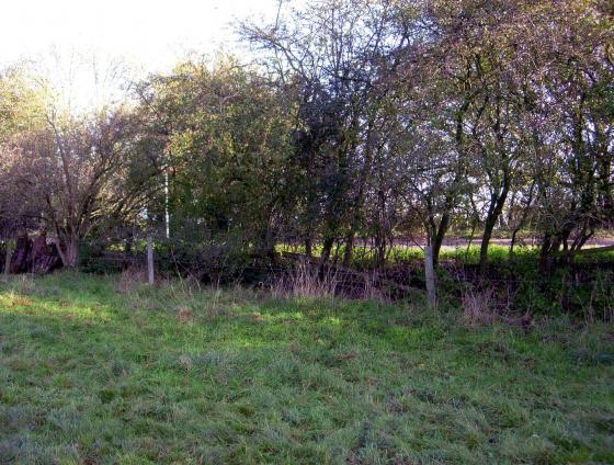 Site of the Lodge from inside South Hall Field looking to the old A6. November 2005