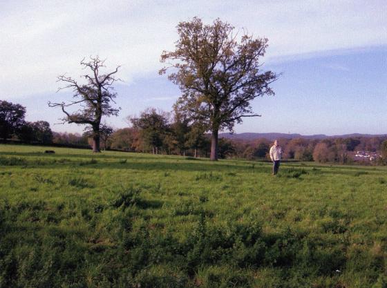 Travelling to The Temple through Brookfield. November 2005