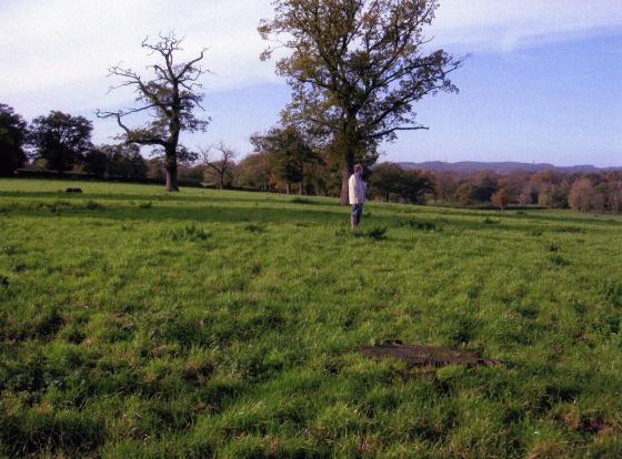 Travelling to The Temple through Brookfield. November 2005