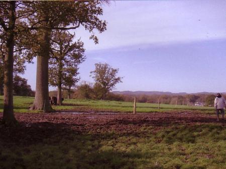 The carriageway continues into the next field called Brookfield where only a few trees remain but the track can be recorded by the tree stumps that have been left in the ground