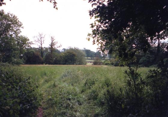 Site 140B Looking from Town Green Street to Rothley Brook and Brookfield Farm. 2000