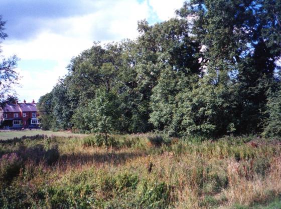 Site 140C Recreation Ground. Hedgerow with Site 140B to the right. Looking to Town Green Street. 2001