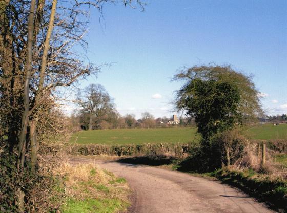 Looking back towards Town Green with Rothley Parish Church in the distance. March 2006

The tree-lined Bridle Road continues through the golf course forming a shady walk to the blue brick railway bridge.