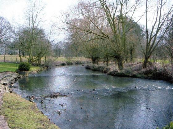 The brook widens out as it flows past the gardens of the Rothley Court Hotel. Interesting stones cause a 'weir' effect and must play a part in the history of Rothley Brook. Looking towards Town Green. March 2004