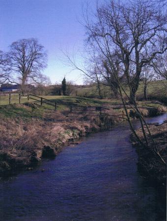 From Town Green bridge the brook flows at the back of houses along Town Green Street. March 2006