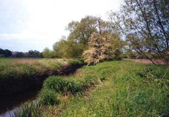 Flowing past Site 131 Farnham Bridge Marsh. May 2002