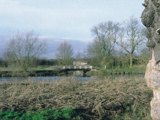 The River Soar Site 229 is the boundary between Rothley and Cossington. Rothley Brook reaches its journeys end flowing under the footbridge. January 2005