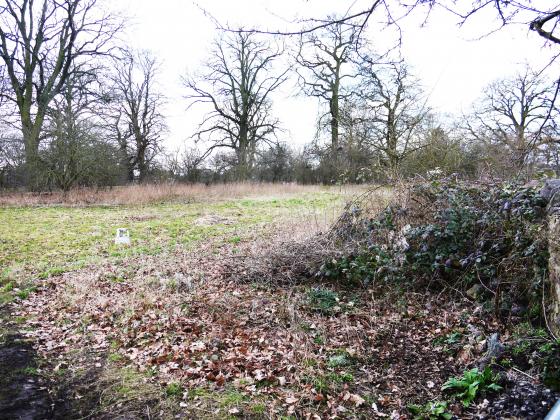 Looking into the Orchard from Town Green Street with Rothley Park behind the hedgerow. February 2015