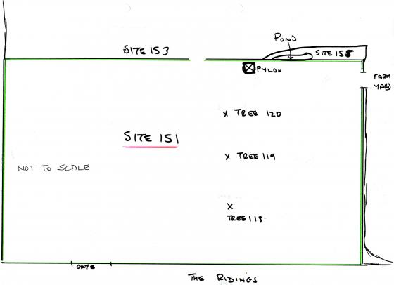 Site 151 Working sketch to identify tree locations. Not to scale. 2003