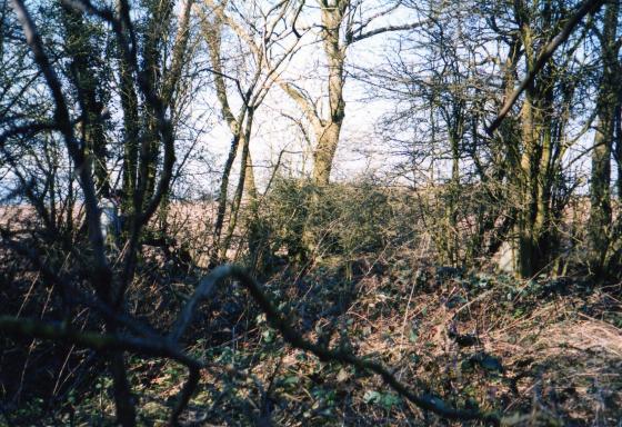 Site 154 Possible Pond Site on the north side as above photo? April 2003