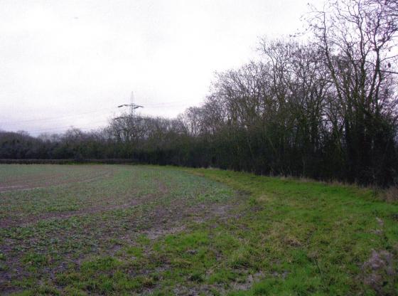 Site 154 Mineral Line to the right. Looking to Swithland Lane. January 2007