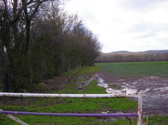 Site 154 Mineral Line on the left looking to Swithland from Site 235 Cornffield 3. January 2007