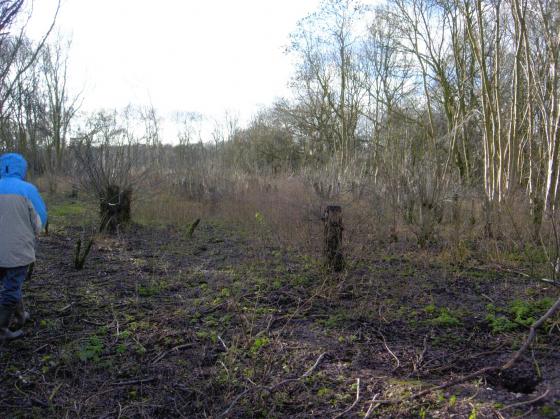 Site 154 The Mineral Line opens up into Mill Spinney in the Parish of Swithland close to the reservoir. January 2007