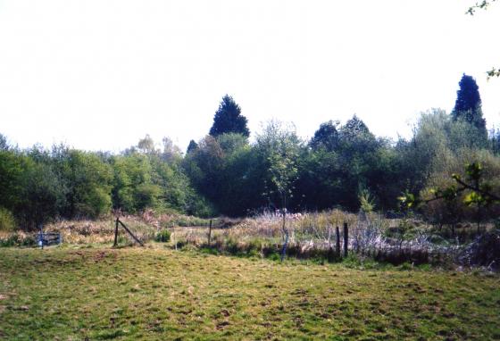 Site 156 Brickpit Pond 11. April 2003