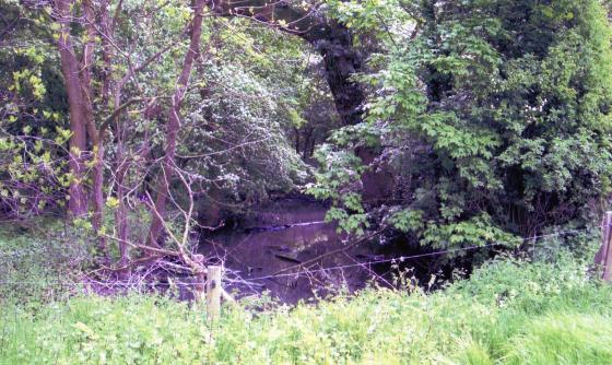 Pond 14 from Site 217 Near Wanlip Close. April 2005