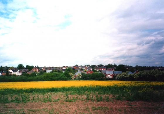 Site 161 View over Stable Field to Mountsorrel Lane. Tree 145 is to the right of the large white window to the right of centre. may 2003