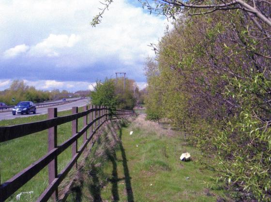 Hamer Site 296 a public footpath next to the A6 by-pass. May 2008