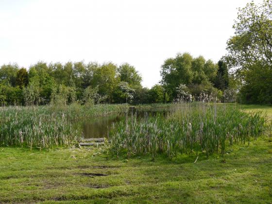 The Link Fishing Lake. River Soar to the right. May 2013