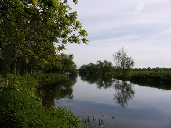 River Soar towpath to the left with Link on the other side. May 2013