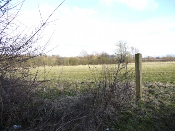 Looking from the Loughborough Road with the boundary of Site 291 Second Home Field to the left. February 2015