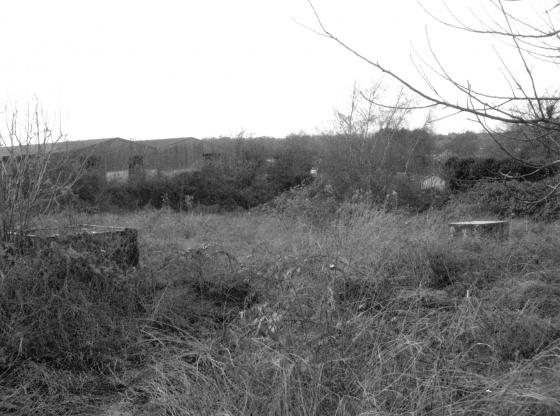 Old Allotments looking to Brookfield Farm, off Hallfields Lane. February 2008