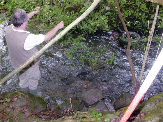 Site 174. Brian Verity the Rothley Archaeological Warden was keen to find out if this was a site for a mill. July 2004