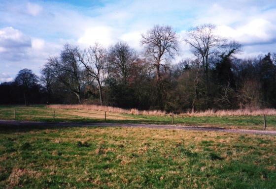 Site 174 Looking to Woodland Spinney (3) with Rothley Park (1) in the background. From the drive to Southfield Farm. February 2004