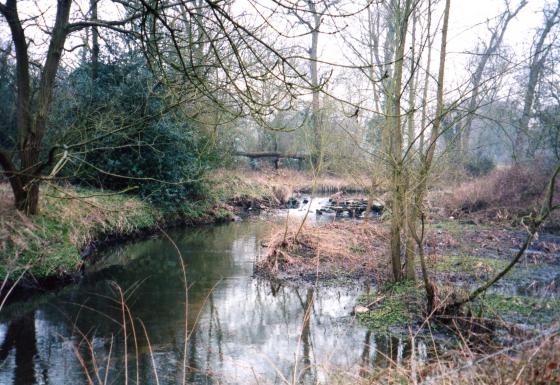 Site 174 Looking from Water (13) to Weir (6) with Island (10) on the left and Silted Area (9) on the right. February 2004