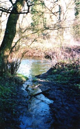 Site 174 Channel (5) looking into Water (14) with Island (10) in the background. February 2004