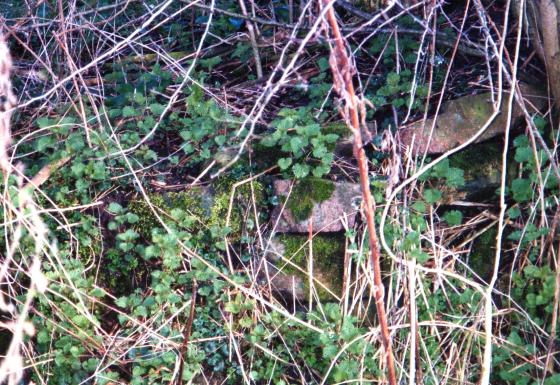 Site 174 Bank (15) showing stone structure. February 2004