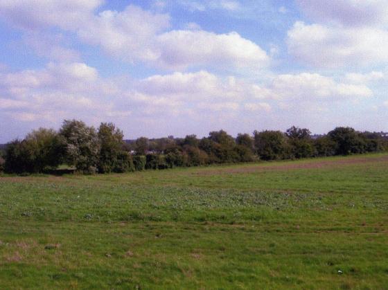 Site 253. Looking to Sileby Mill. September 2006